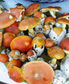 foto ricetta Riso con i funghi ovoli 